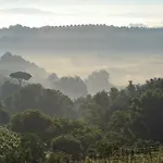 Apartament Tenuta Delle Rose *