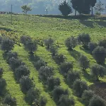 Tenuta Delle Rose Apartament