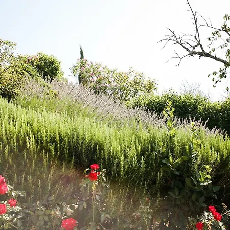 Tenuta Delle Rose Lägenhet