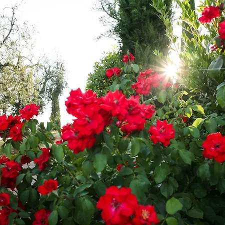 Lägenhet Tenuta Delle Rose
