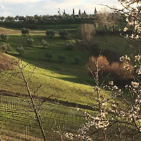 Tenuta Delle Rose Lägenhet Montaione