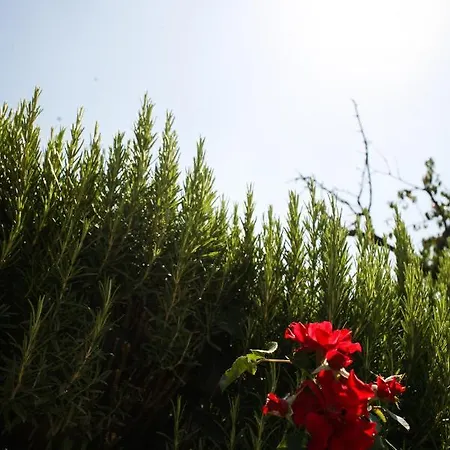 Lägenhet Tenuta Delle Rose Montaione